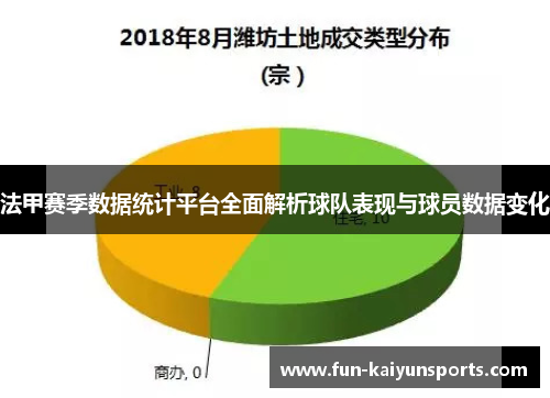 法甲赛季数据统计平台全面解析球队表现与球员数据变化