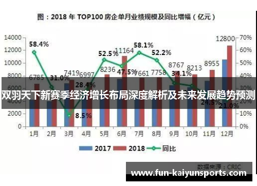 双羽天下新赛季经济增长布局深度解析及未来发展趋势预测