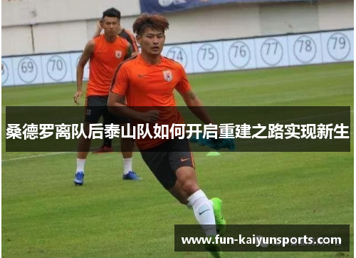 桑德罗离队后泰山队如何开启重建之路实现新生