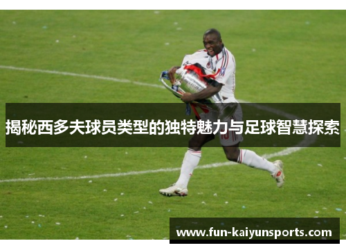 揭秘西多夫球员类型的独特魅力与足球智慧探索